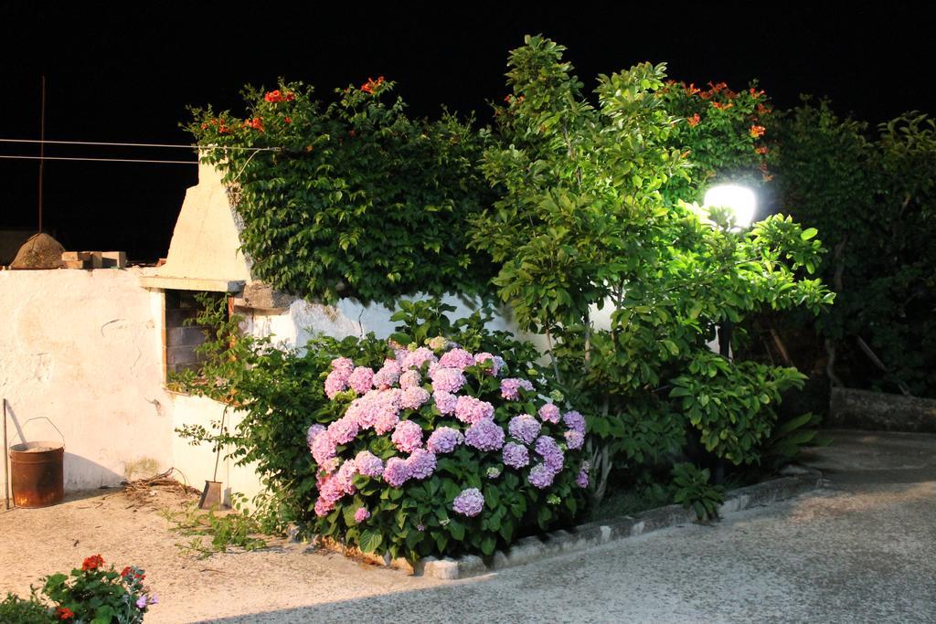 Bed and Breakfast La Casa Del Nonno Alberobello Esterno foto