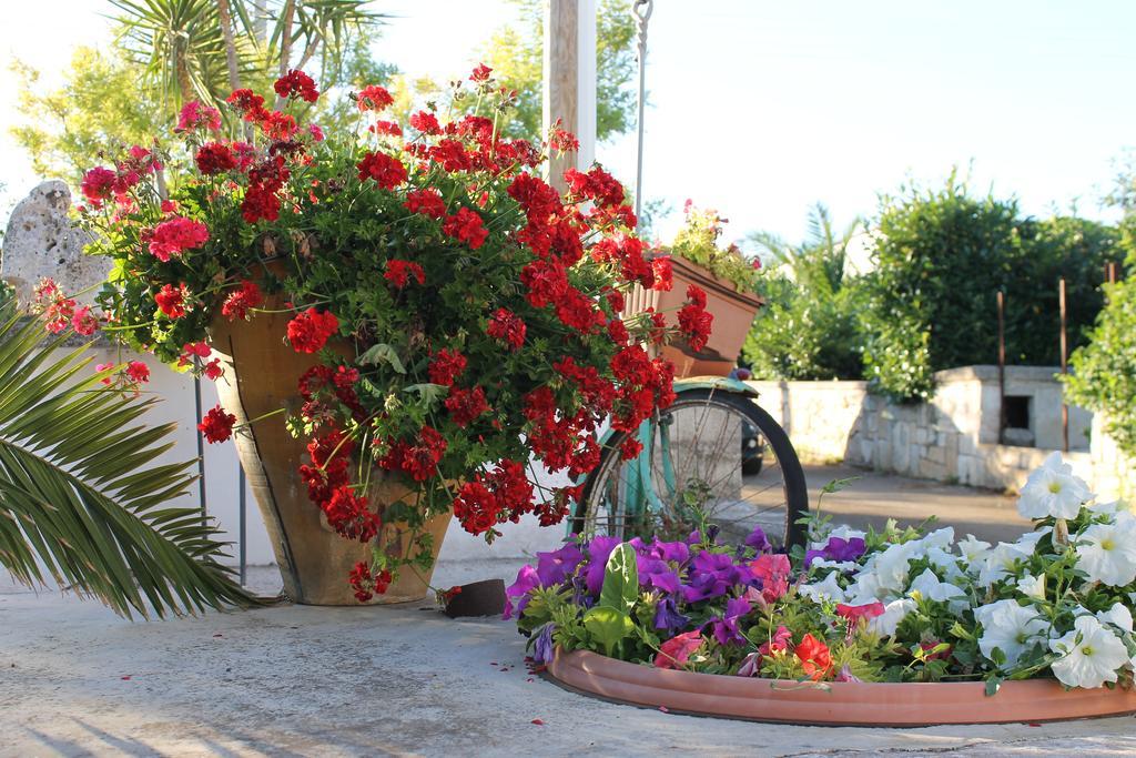 Bed and Breakfast La Casa Del Nonno Alberobello Esterno foto