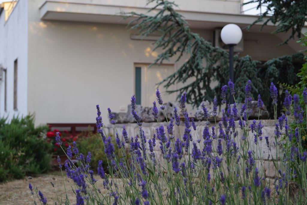 Bed and Breakfast La Casa Del Nonno Alberobello Esterno foto