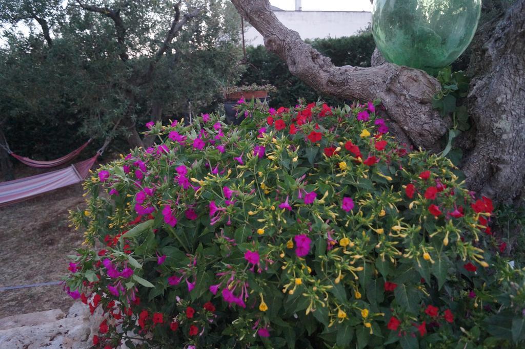 Bed and Breakfast La Casa Del Nonno Alberobello Esterno foto