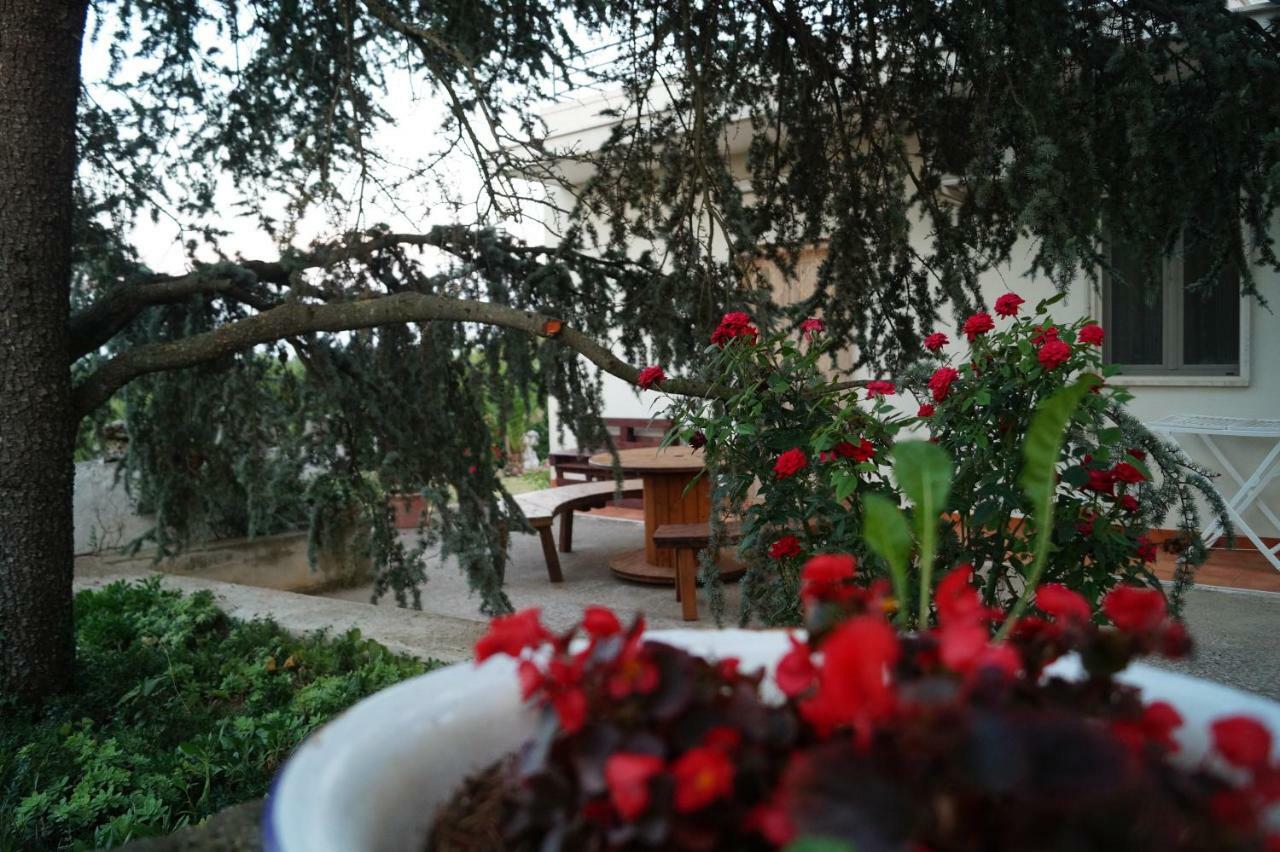 Bed and Breakfast La Casa Del Nonno Alberobello Esterno foto